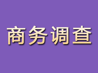 麟游商务调查